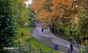 سمفونی رنگ های پاییزی - پارک ملت 3