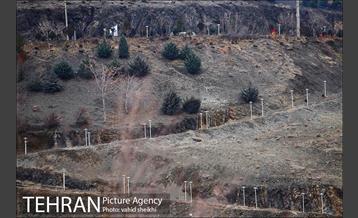 بام توچال تهران 29