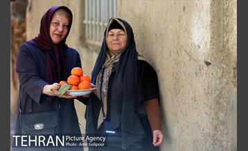 نخستین جشنواره خرمالو در روستای کشار سفلی 18