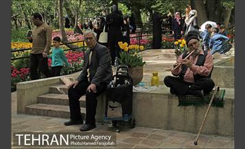 لاله های بهاری بوستان مختاری 15