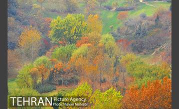 پاییز منطقه گردشگری اراضی عباس آباد 10