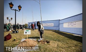 مراسم کاشت درخت صلح و دوستی 31