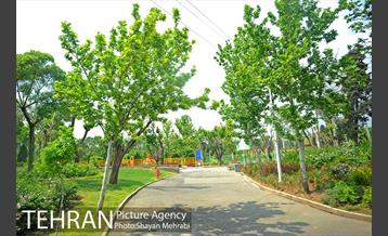 بوستان بعثت 4