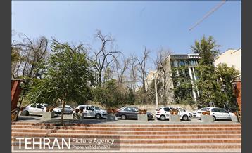 بوستان پدر 17