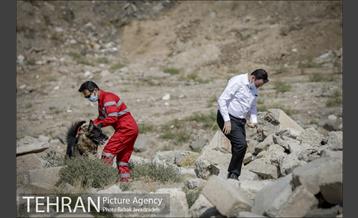 سگ های آنست 10