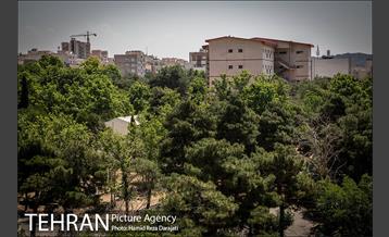 از پادگان تا بوستان 15
