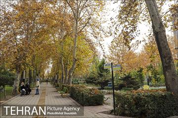 بوستان اندیشه(شهید منفرد نیاکی) 8