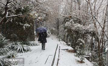 پل طبیعت سپیدپوش شد 16