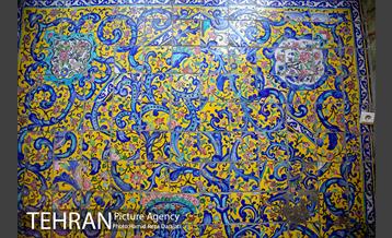 درخشش «الماس» در میانه گلستان 8