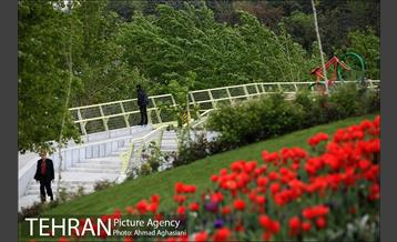 پل جدید بوستان آب و آتش 30