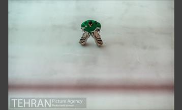 مسابقات هاکی رو یخ 6