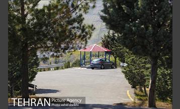 بوستان جنگلی کوهسار 12