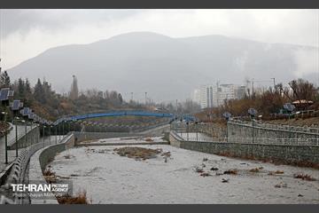 بارش باران زمستانی در تهران 29
