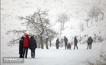 بارش برف در تهران 7