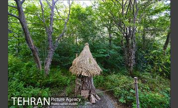 باغ گیاه شناسی ملی ایران  40