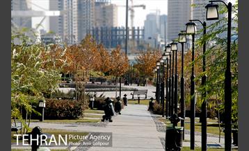 پاییز دریاچه شهدای خلیج فارس 13