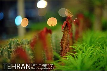 هشتمین نمایشگاه گل و گیاه تهران 23
