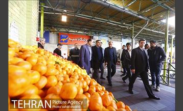 بازدید شهردار تهران از میدان میوه و تره بار ستارخان 6