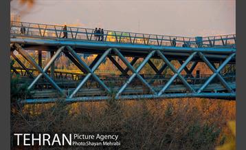 پاییز پل طبیعت 26