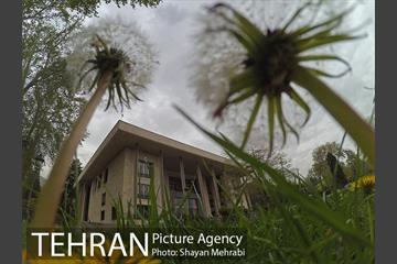 کاخ نیاوران 13