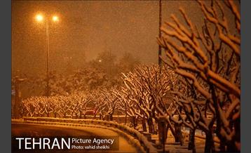 بارش برف در تهران  12