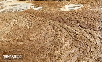 بازدید رئیس سازمان حفاظت محیط زیست کشور از مجتمع مدیریت زباله آرادکوه 12