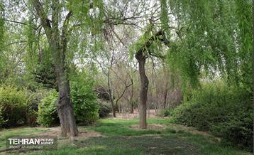 بوستان بانوان نرگس 9