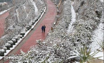 تهران برفی 5