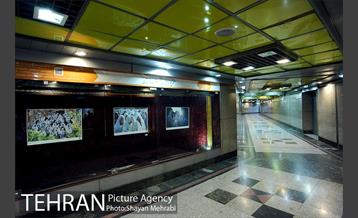 نمایشگاه عکس روز قدس در مترو تهران 22