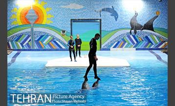 حضور خانواده هاى کارکنان شهردارى تهران در دلفیناریوم برج میلاد به همراه شهردار تهران 30