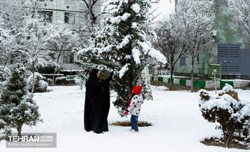 روز برفی در منطقه 8 46