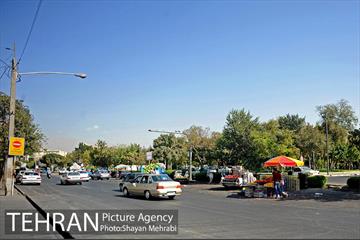 میوه فروشان خیابانی 22