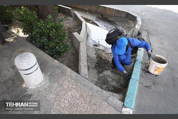 مبارزه با جانوران موذی 8