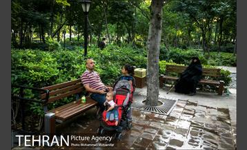 شهرنگار؛ باغ ایرانی 5