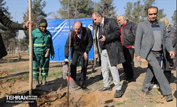 آیین یلدای مهربانی و کاشت نهال در بوستان سرخه حصار 24