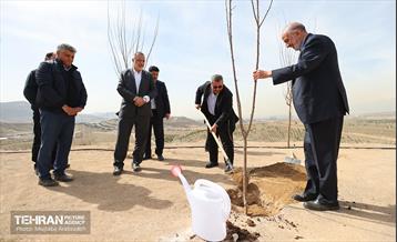 بهره‌برداری از فاز دوم طرح جنگلکاری کمربند سبز 11