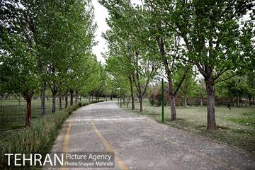 بوستان آزادگان 15