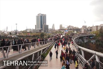 پل طبیعت در نوروز  5