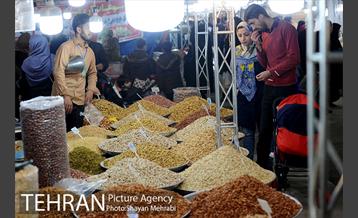 نمایشگاه بهاره در بوستان ولایت 16