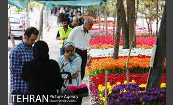 پیاده راه لاله برای مادران 23