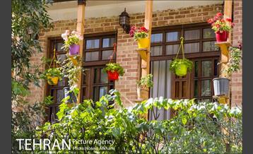 پنجره های شهر تهران 9