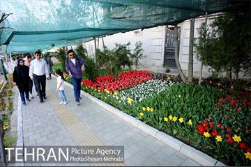 پیاده راه لاله مادران 30