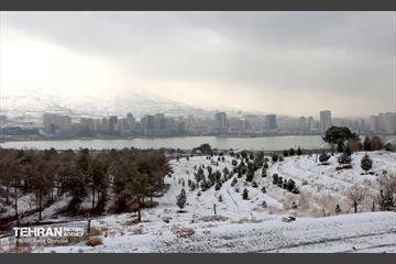 روز برفی در منطقه 22 15