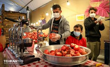 جشنواره انار تهران در گذر گردشگری پارک آب و آتش 3