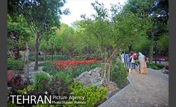 باغ ایرانی (بوستان مهندس مختاری) 23