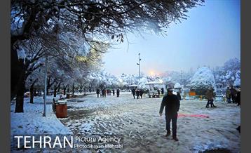 روز برفی در پارک لاله 8