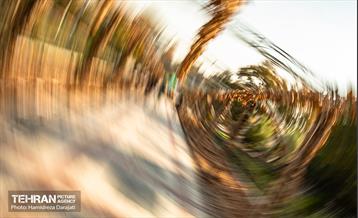 گذرگاه های پاییزی پایتخت - پارک ملت  12