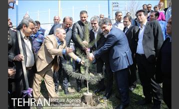مراسم درختکاری باشگاه سایپا در حضور علی دایی و قهرمانان ملی 10