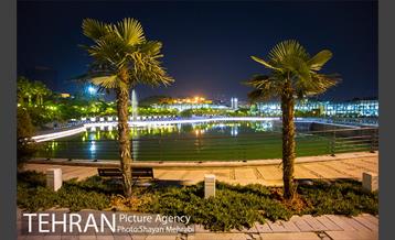 شب های باغ هنر 18