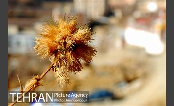طبیعت پاییزی روستای سنگان 16